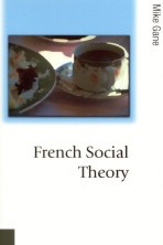 French Social Theory (Published in association with Theory, Culture & Society) book cover by Mike Gane