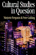 Cultural Studies in Question book cover by 