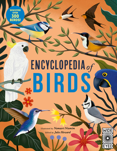 Encyclopedia of Birds book cover by Jules Howard