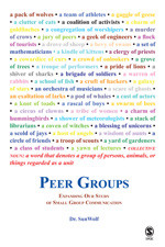 Peer Groups: Expanding Our Study of Small Group Communication book cover by SunWolf