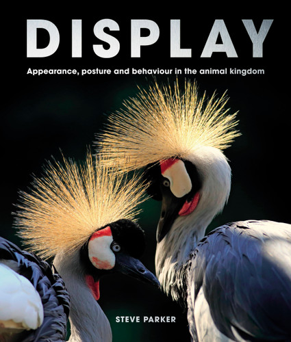 Display: Appearance, posture and behaviour in the animal kingdom book cover by Steve Parker