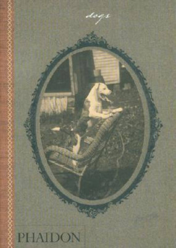 Dogs: Collected by Catherine Johnson Words by William Wegman book cover by Catherine Johnson, William Wegman