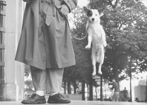 Paris, 1989: Elliott Erwitt Snaps book cover by 