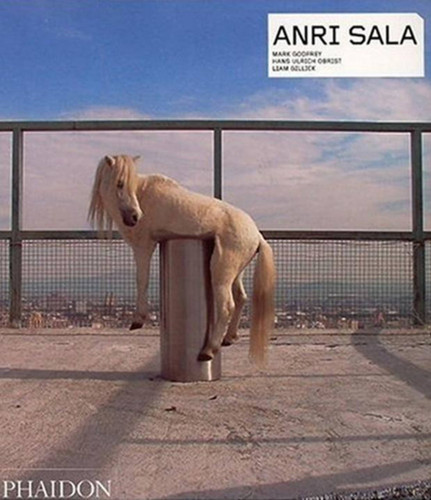 Anri Sala (Phaidon Contemporary Artists Series) book cover by Hans Ulrich Obrist, Mark Godfrey, Liam Gillick