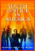 Youth Justice in America book cover by Jamin B. Raskin