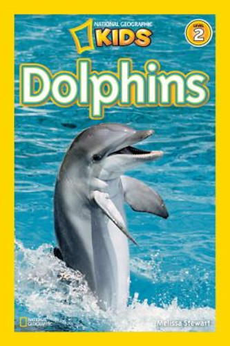 Dolphins Cover