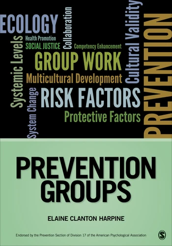 Prevention Groups (Prevention Practice Kit) book cover by 
