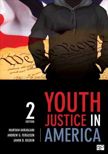 Youth Justice in America book cover by Maryam Ahranjani, Andrew G. Ferguson, Jamin B. Raskin