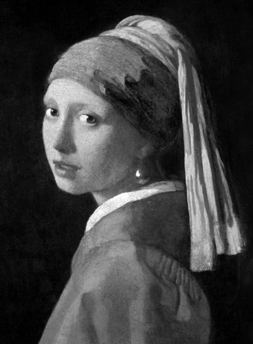 Vermeer: Classic 2015 (Phaidon Classics) book cover by Wayne Franits, Ludwig Goldscheider