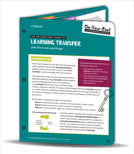 The On-Your-Feet Guide to Learning Transfer (On-Your-Feet-Guides) book cover by Julie Stern, Julia Briggs