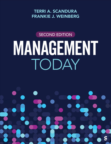 Management Today book cover by Terri A. Scandura, Frankie J. Weinberg