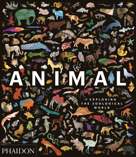 Animal: Exploring the Zoological World book cover by Phaidon Editors