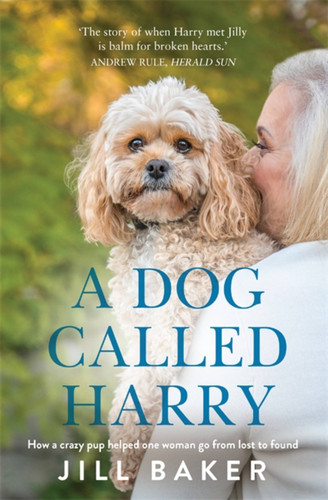A Dog Called Harry book cover by Jill Baker