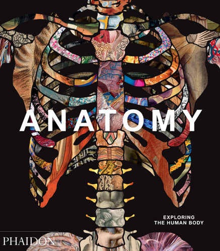 Anatomy: Exploring the Human Body book cover by Phaidon Editors
