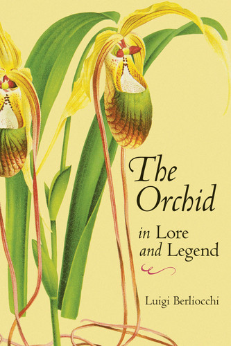 The Orchid in Lore and Legend book cover by Luigi Berliocchi