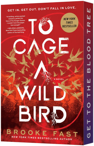 To Cage a Wild Bird: A Fast-Paced Dystopian Romance (Divided Fates #1) book cover by Brooke Fast