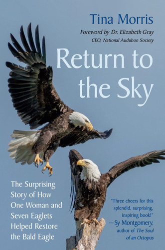 Return to the Sky: The Surprising Story of How One Woman and Seven Eaglets Helped Restore the Bald Eagle book cover by Tina Morris