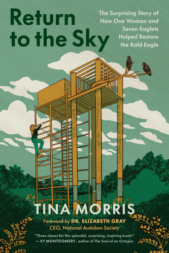 Return to the Sky: The Surprising Story of How One Woman and Seven Eaglets Helped Restore the Bald Eagle book cover by Tina Morris