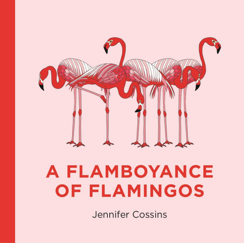 A Flamboyance of Flamingos book cover by Jennifer Cossins