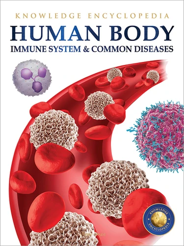 Human Body - Immune System And Common Diseases: Knowledge Encyclopedia For Children book cover by Wonder House Books