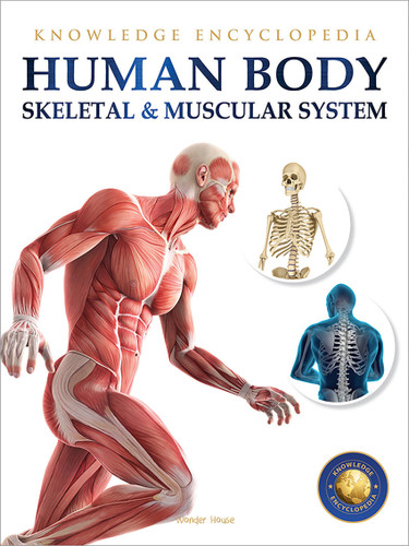Human Body - Skeletal And Muscular System: Knowledge Encyclopedia For Children book cover by Wonder House Books