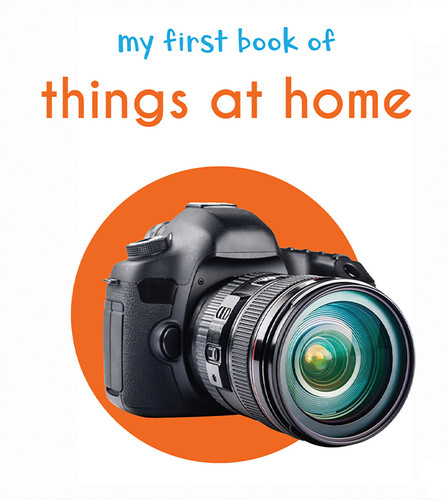 My First Book of Things at Home: First Board Book book cover by Wonder House Books