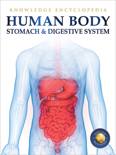 Human Body - Stomach And Digestive System: Knowledge Encyclopedia For Children book cover by Wonder House Books