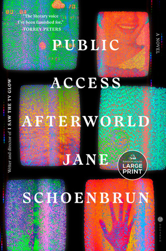 Public Access Afterworld: A Novel book cover by Jane Schoenbrun