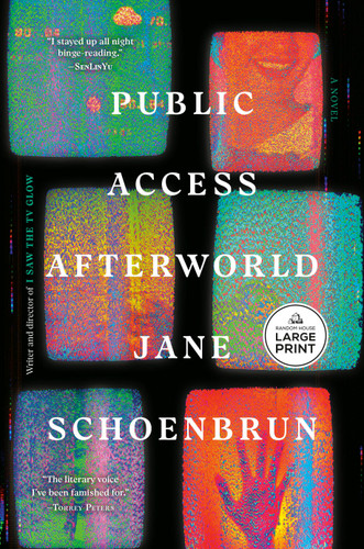 Public Access Afterworld: A Novel book cover by Jane Schoenbrun