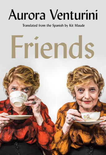 Friends book cover by Aurora Venturini