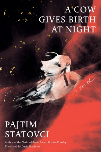 A Cow Gives Birth at Night: A Novel book cover by Pajtim Statovci