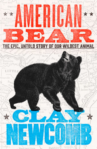 American Bear: The Epic, Untold Story of our Wildest Animal book cover by Clay Newcomb