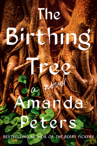 The Birthing Tree: A Novel book cover by Amanda Peters