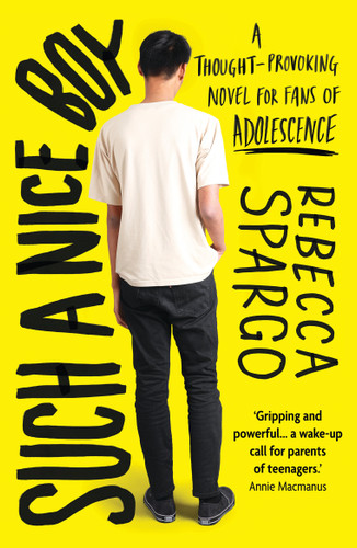 Such a Nice Boy: An unputdownable bookclub read about motherhood, toxic masculinity and the manosphere book cover by Rebecca Spargo