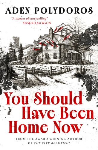 You Should Have Been Home Now book cover by Aden Polydoros