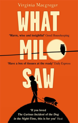 What Milo Saw book cover by Virgina Macgregor