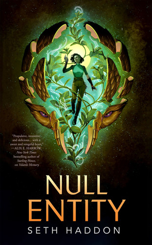 Null Entity [9781250395986]