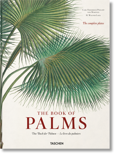 Martius. The Book of Palms (Fantastic Price) book cover by H. Walter Lack
