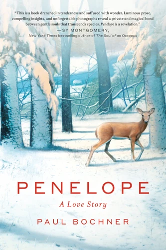 Penelope: A Love Story book cover by Paul Bochner
