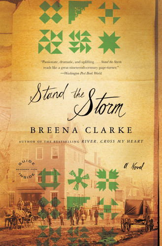 Stand the Storm book cover by Breena Clarke