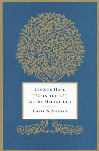 Finding Hope in the Age of Melancholy book cover by David S. Awbrey