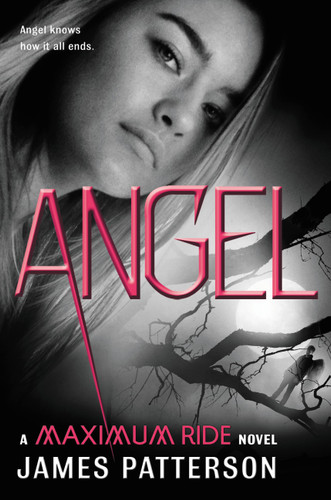 Angel: A Maximum Ride Novel (Maximum Ride #7) book cover by James Patterson