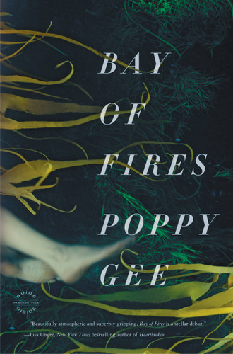 Bay of Fires: A Novel book cover by Poppy Gee