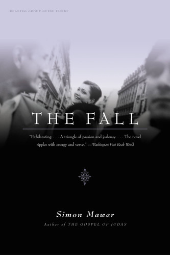 The Fall: A Novel book cover by Simon Mawer