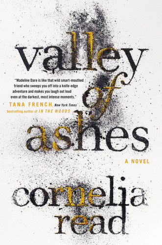 Valley of Ashes (A Madeline Dare Novel #4) book cover by Cornelia Read