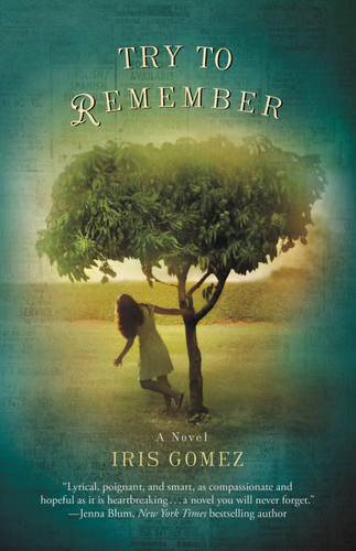 Try to Remember book cover by Iris Gomez