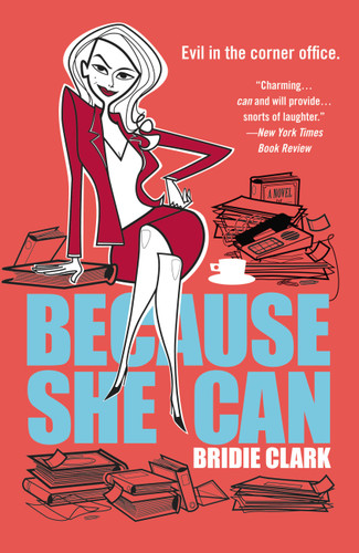 Because She Can book cover by Bridie Clark
