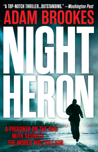 Night Heron book cover by Adam Brookes