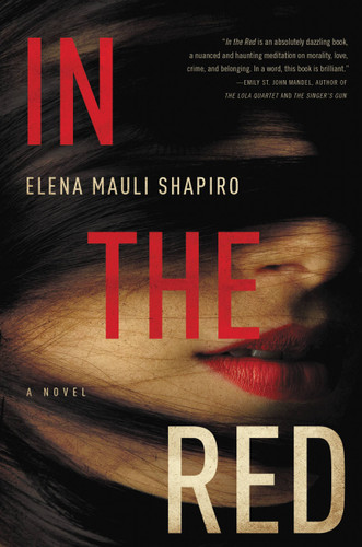 In the Red: A Novel book cover by Elena Mauli Shapiro