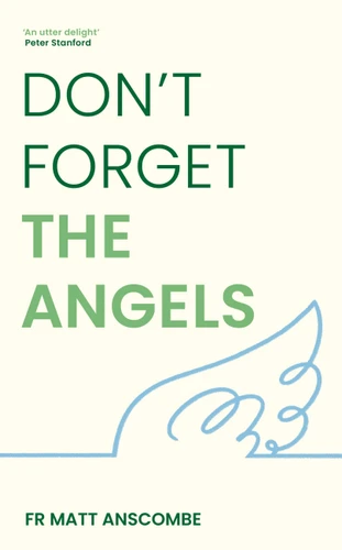 Don't Forget the Angels book cover by Fr Matt Anscombe